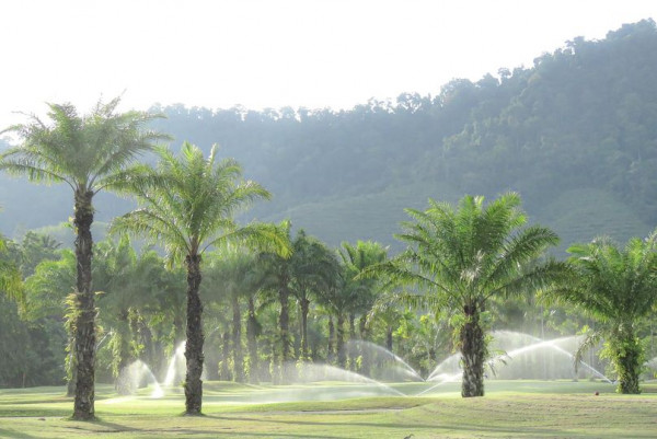 Katathong Golf Resort amp Spa body of water tree grass and nature