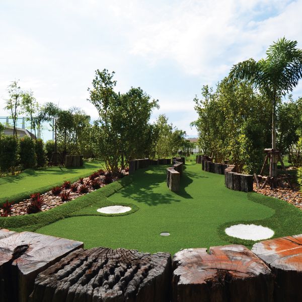 Aquella Golf amp Country Club tree and nature