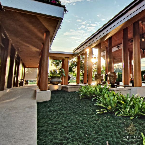 Aquella Golf amp Country Club tree and outdoors