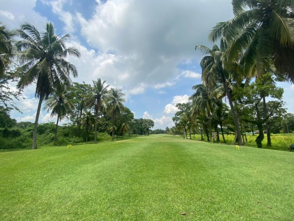Victory Park Golf amp Country Club พื้นหญ้า ต้นไม้ และ สนามกอล์ฟ