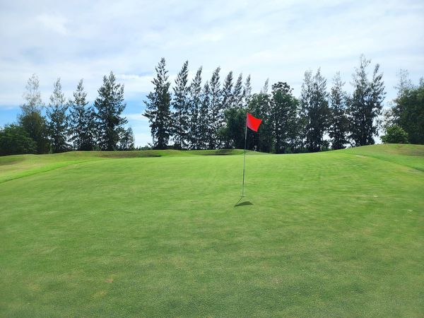 Dancoon Golf Club golf and golf course