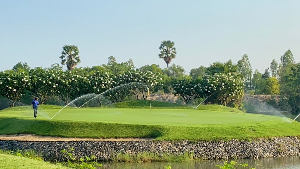 Dancoon Golf Club nbsp 1 คน กำลังตีกอล์ฟ รถกอล์ฟ พื้นหญ้า และ สนามกอล์ฟ